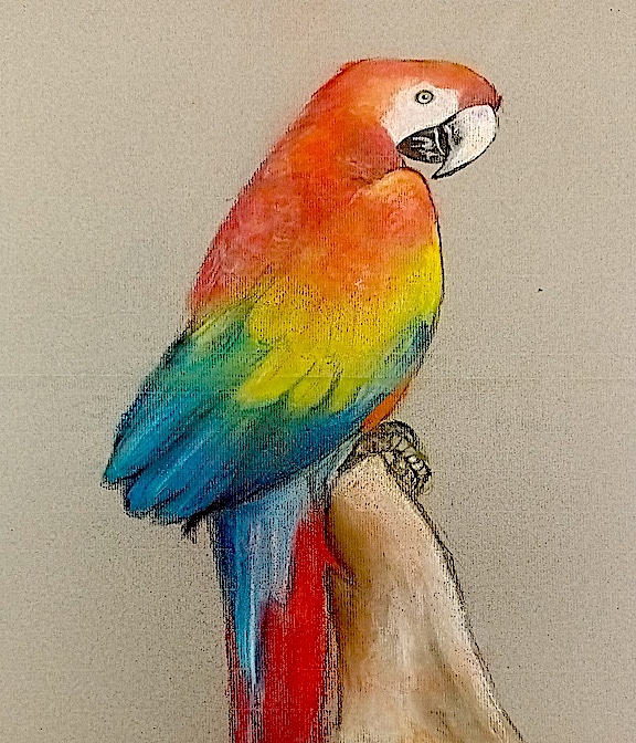 DRAWING FOR ADULTS bird