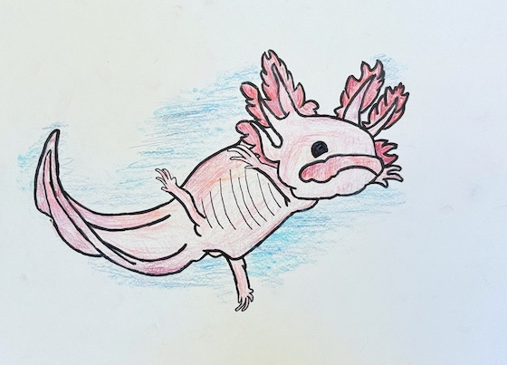 Katherine Koroleva_1