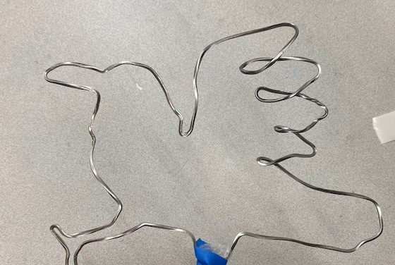 Aliah Katz, age 17 (4)