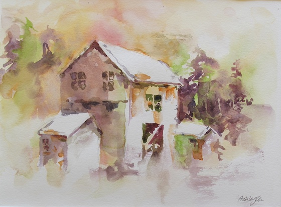 Ashley Gu, age 16 (3)