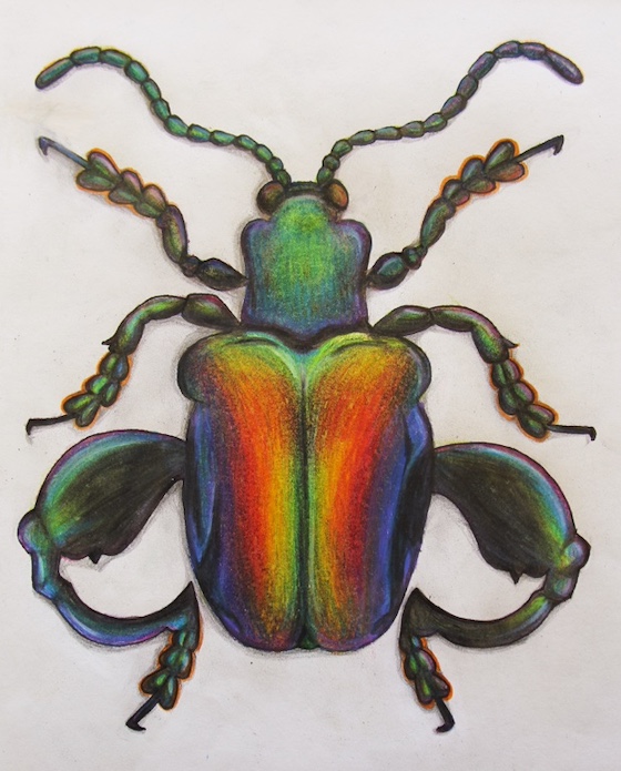 Azul Roberts, age 14 (1)