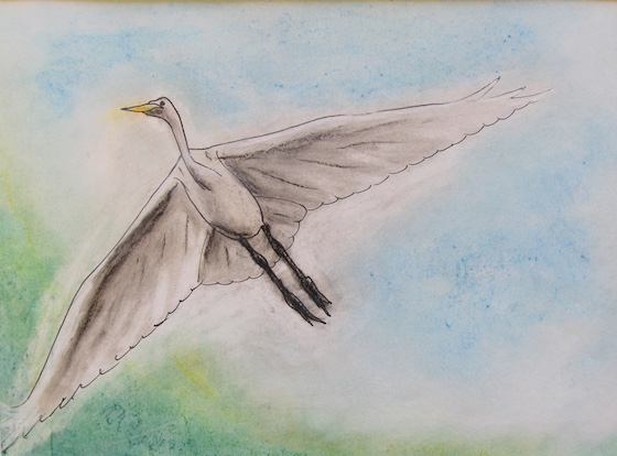 Azul Roberts, age 14 (2)