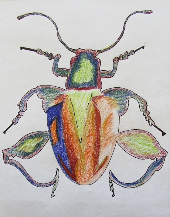 Ben Paul, age 10 (3)