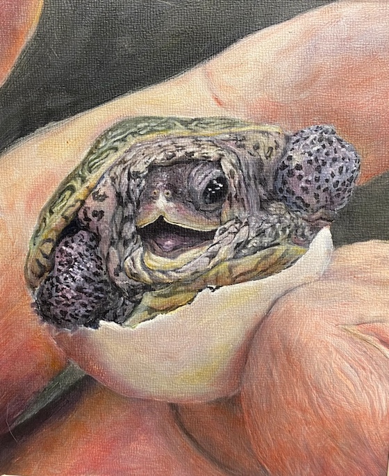 Claire Jennings, age 16 (1)