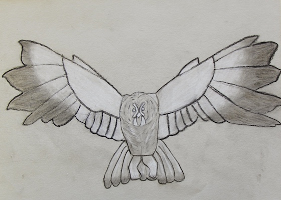 Don Capodilupo, adult (1)