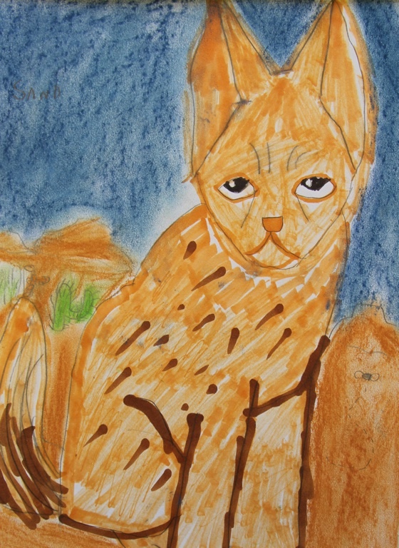 Evan Fitek, age 7 (2)