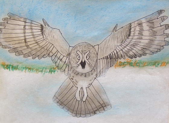 Felicia Wei, age 10 (1)