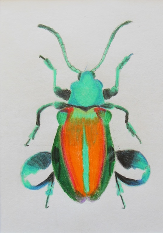 Kira Taylor, age 11 (1)