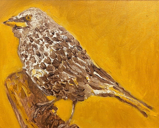 Martin Renzhofer, adult (3)