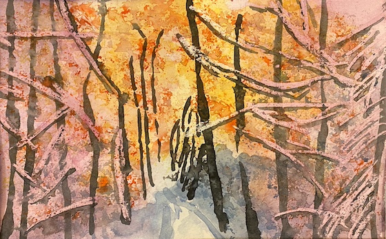 Martin Renzhofer, adult (4)