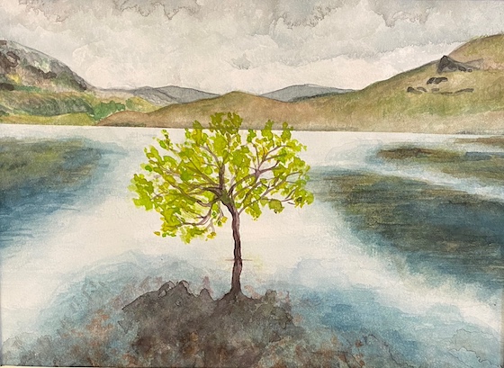 Melissa Wafer, adult (1)