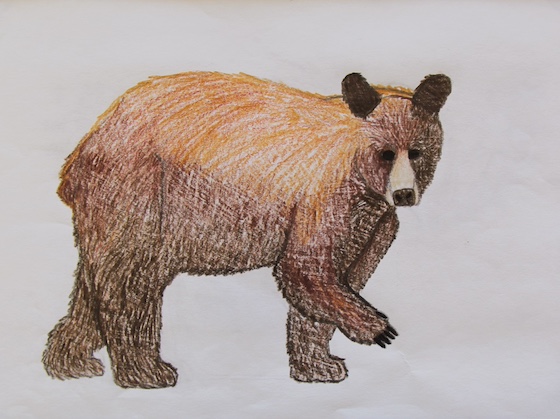 Noelle van Boeyen, age 11 (1)