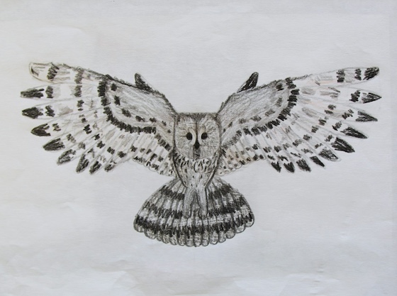 Noelle van Boeyen, age 11 (2)