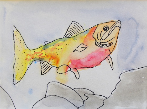 Quinn Molloy, age 11 (1)