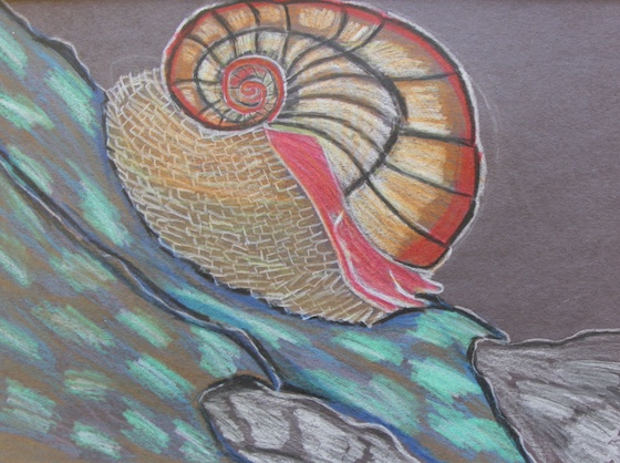 Sayah Ghosh, age 13 (2)