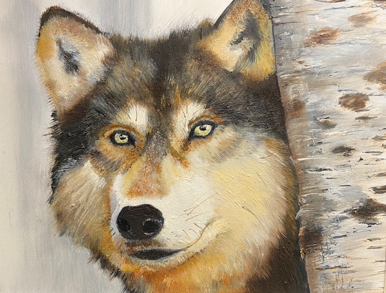 Sema Baskaraca, adult (4)