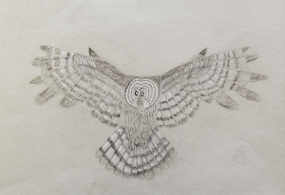 Teagan Francis, age 11 (1)