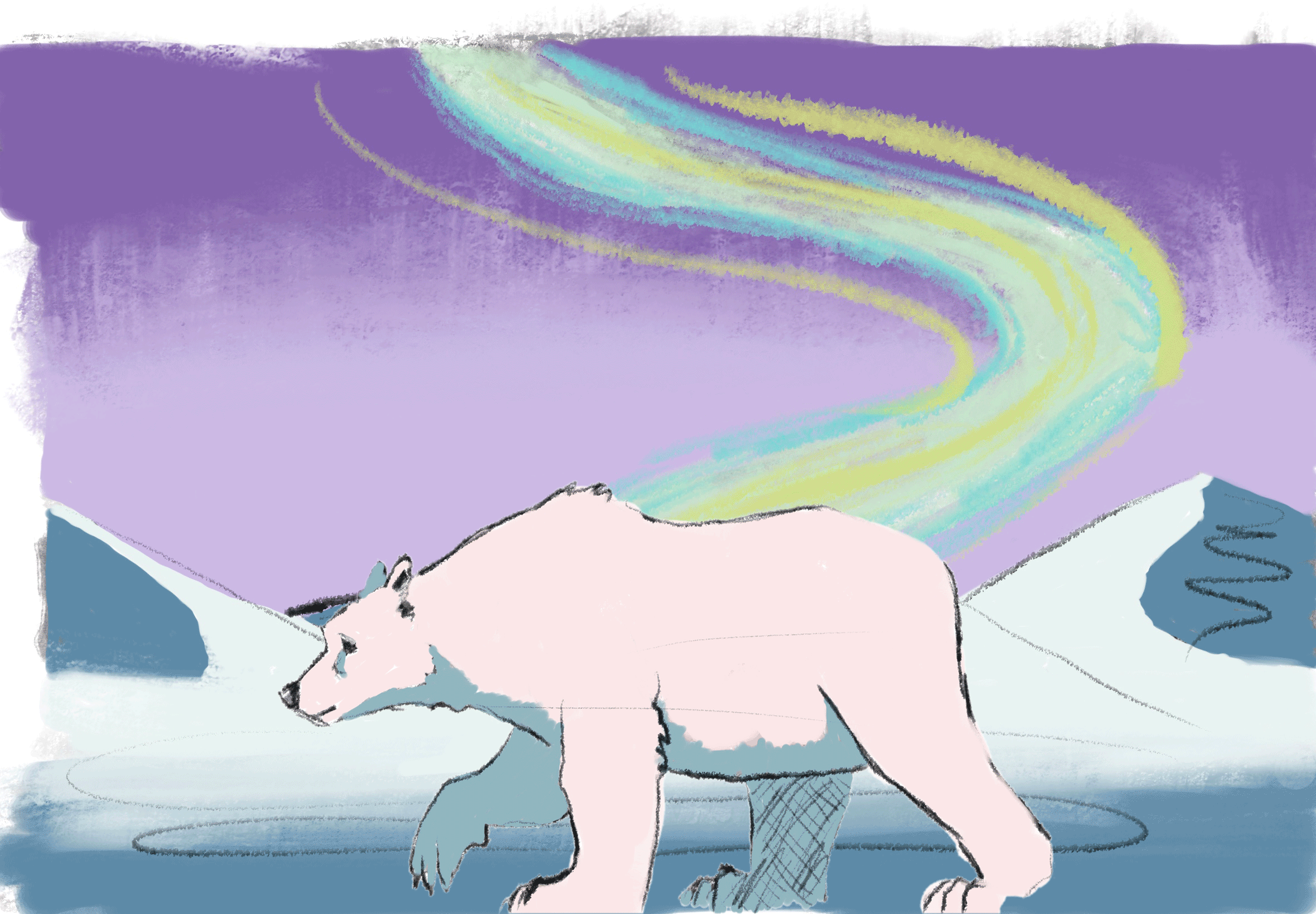 polar bear gif