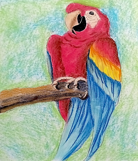 Intermediate a drawing