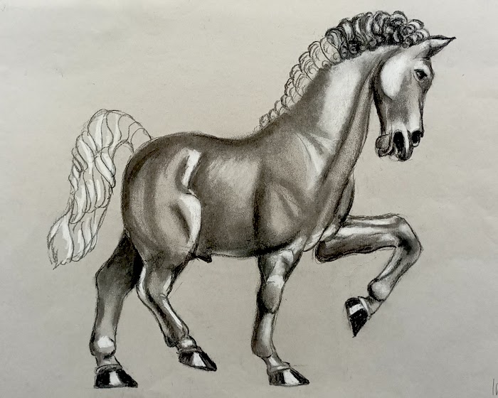 charcoal da vinci horse drawing