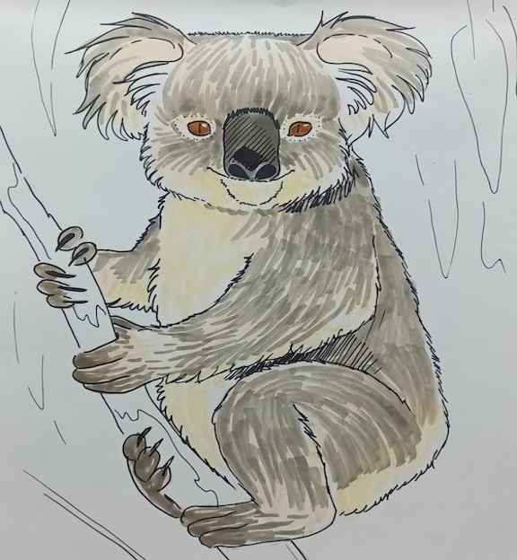 koala marker drawing