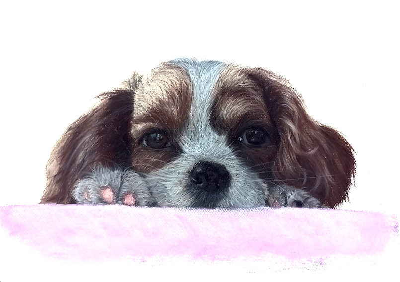 Cute Pastel Dog Drawing