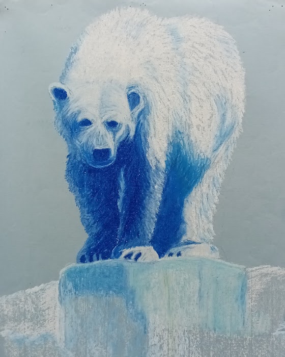DRAWING FOR TEENS POLAR BEAR