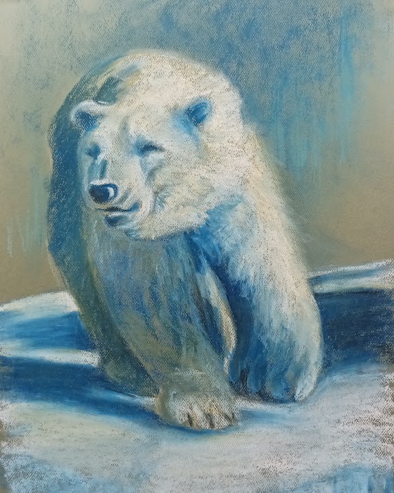 Intermediate two polar bear drawing